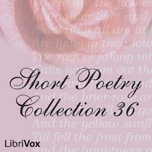 Short Poetry Collection 036