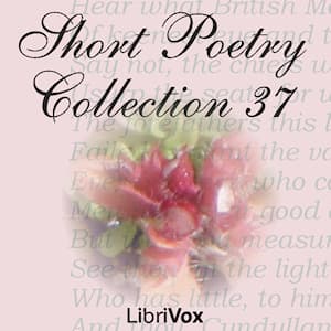 Short Poetry Collection 037