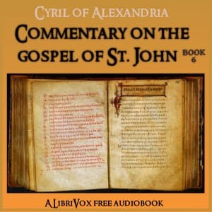 Commentary on the Gospel of John, Book 6