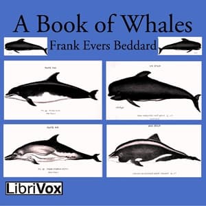 Book of Whales