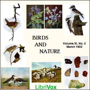 Birds and Nature, Vol. XI, No 3, March 1902