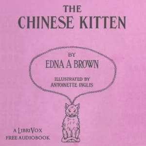 Chinese Kitten