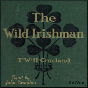 Wild Irishman
