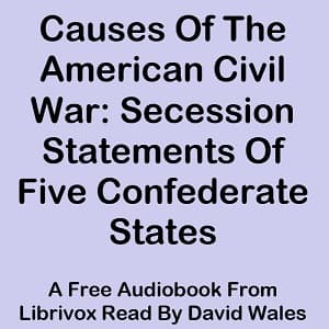 Causes Of The American Civil War: Secession Statements Of Five Confederate States (South Carolina, Texas, Virginia, Georgia, Mississippi)