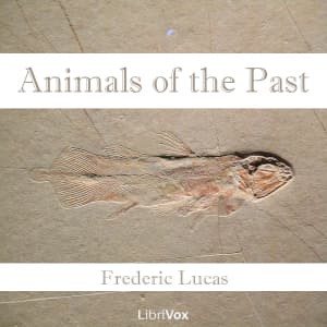 Animals of the Past