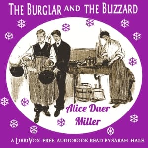 Burglar and the Blizzard