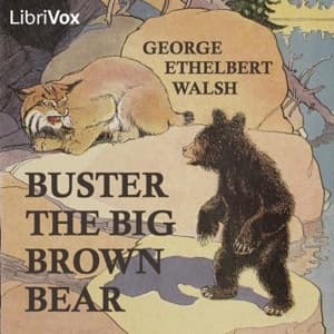 Buster the Big Brown Bear