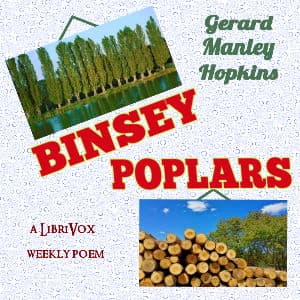 Binsey Poplars