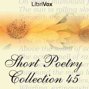 Short Poetry Collection 045