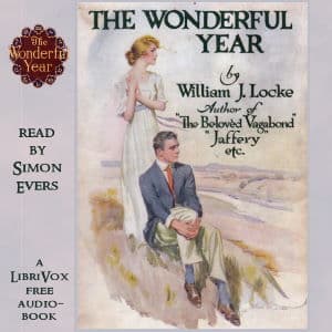 Wonderful Year