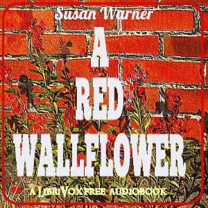 Red Wallflower