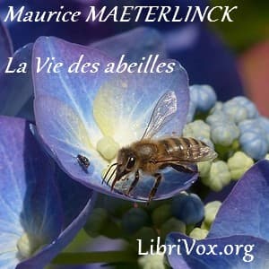 vie des abeilles