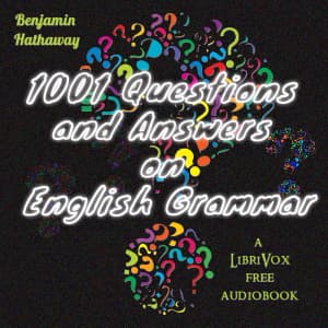 1001 Questions and Answers on English Grammar