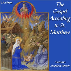 Bible (ASV) NT 01: Matthew