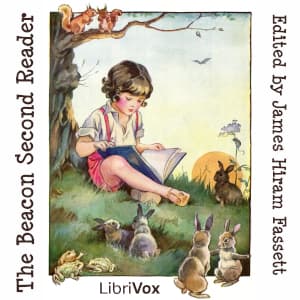 Beacon Second Reader