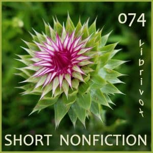 Short Nonfiction Collection, Vol. 074