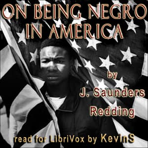 On Being Negro in America