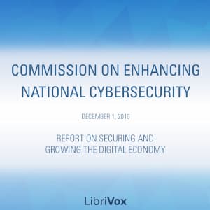 Report on Securing and Growing the Digital Economy