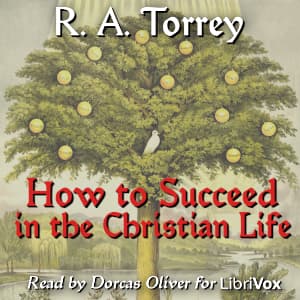 How to Succeed in the Christian Life