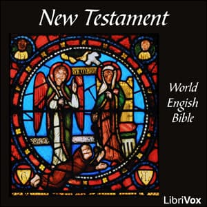 Bible (WEB) NT 01-27: The New Testament