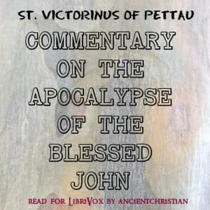 Commentary on the Apocalypse of the Blessed John