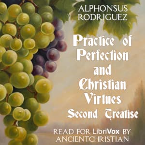 Practice of Perfection and Christian Virtues - Second Treatise