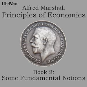Principles of Economics, Book 2: Some Fundamental Notions