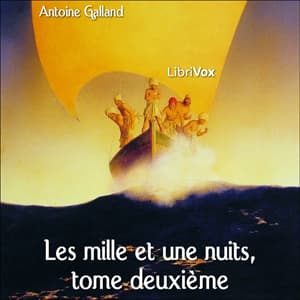 Mille et une nuits, tome 2