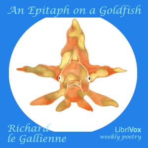 Epitaph On A Goldfish