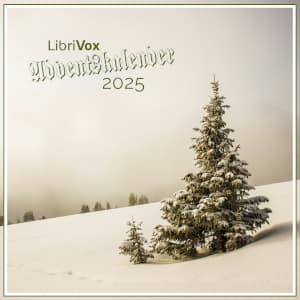 Adventskalender 2025