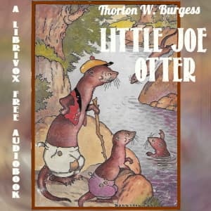 Little Joe Otter