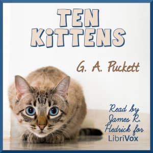Ten Kittens