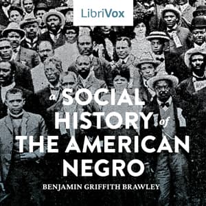 Social History of the American Negro