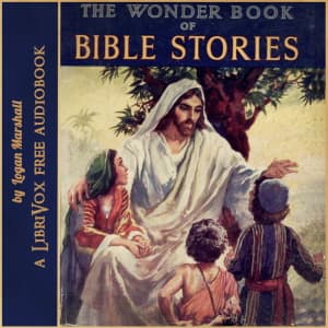 Wonder Book of Bible Stories (Version 2)