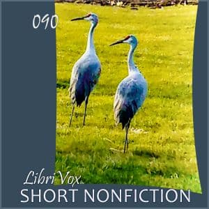 Short Nonfiction Collection, Vol. 090