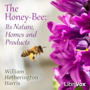 Honey-Bee: Its Nature, Homes and Products