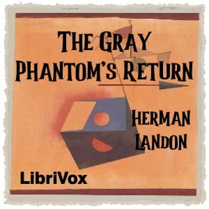Gray Phantom's Return