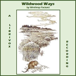 Wildwood Ways