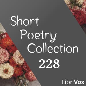 Short Poetry Collection 228
