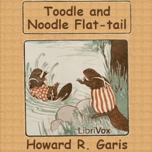 Toodle and Noodle Flat-tail: The Jolly Beaver Boys