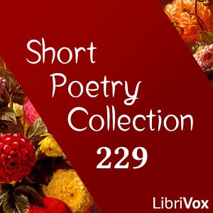 Short Poetry Collection 229