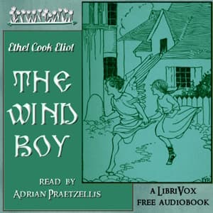 Wind Boy