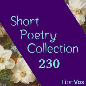Short Poetry Collection 230