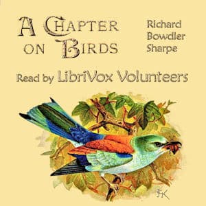 Chapter on Birds