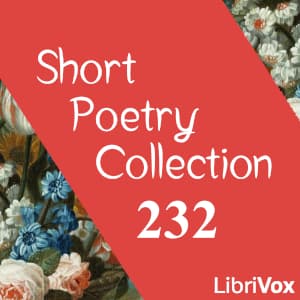 Short Poetry Collection 232