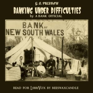 Banking Under Difficulties