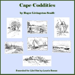 Cape Coddities