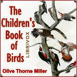 Children's Book of Birds