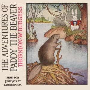 Adventures of Paddy the Beaver (Version 2)
