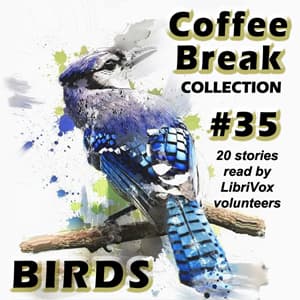 Coffee Break Collection 035 - Birds